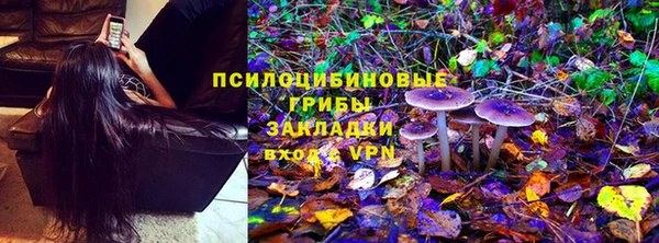 бошки Волоколамск