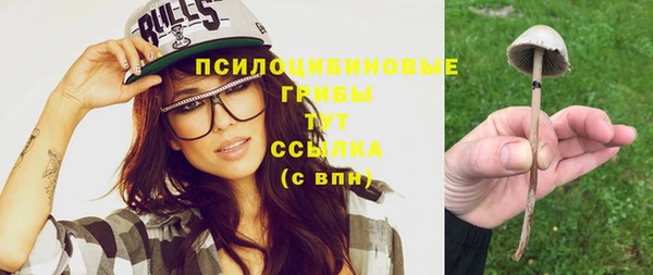 прущие крисы Володарск
